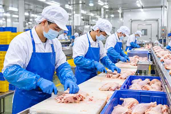 Nhà máy Diêm Thủy-Đài Nam tuyển 20 Nam chế biến thịt gà